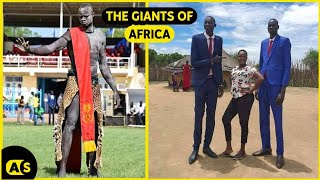 The giant tribe of Africa | The Nilotic People