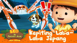 🦀 Apakah Ini KEPITING TERBESAR?! 🦀 | Kepiting Laba-Laba Jepang | Leo Si Penjaga Alam | Kartun Anak