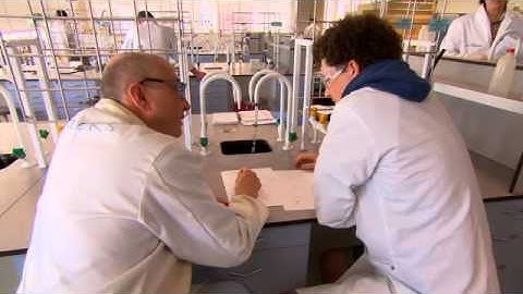 Science and Engineering Montage University of Waikato