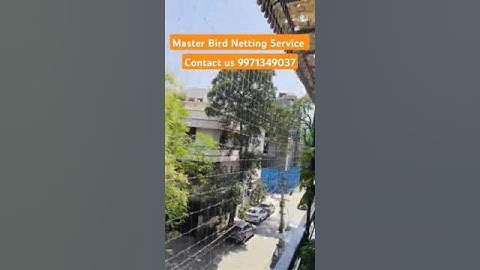 invisible Net installation polycarbonate net 9971349037#masterbirdnetting#birdmaster