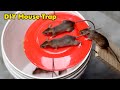 Diy humane mouserat trap bucket  homemade rat trap easy and effective