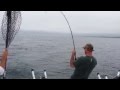 Afishionado sportfishing