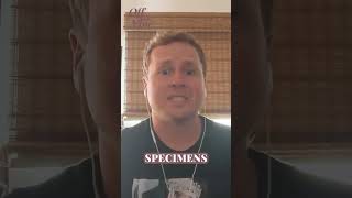 Spencer Pratt Lost Everything… Including $2 Million in Crystals