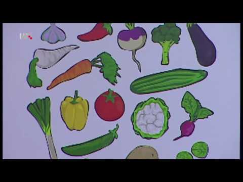Video: Utjecaj Jednogodišnje školske Nastave U Koju Se Bavi Učiteljstvom Prehrane I Fizičke Aktivnosti: Glavni Nalazi I Buduće Preporuke
