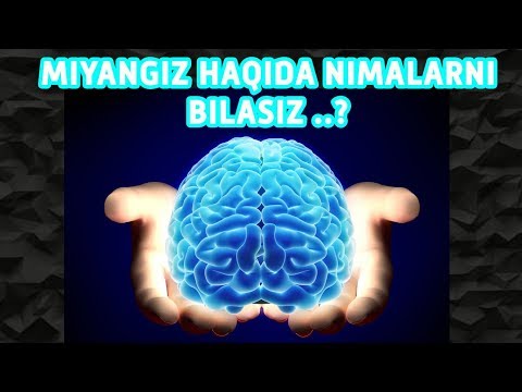 Video: Miya falaj nutqiga ta'sir qilishi mumkinmi?