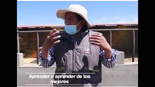 Recomendaciones De Un Experto Para El Engorde De Toros.