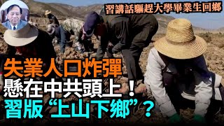 【謝田時間】1. 面對城市失業大軍,習近平提倡返鄉、回鄉和農村雙輪驅動科技改革的夢囈;3中國土地黨有制,限制農民搞像美國樣的農業大科技等;3.習解決失業大軍另一個辦法就是打仗!