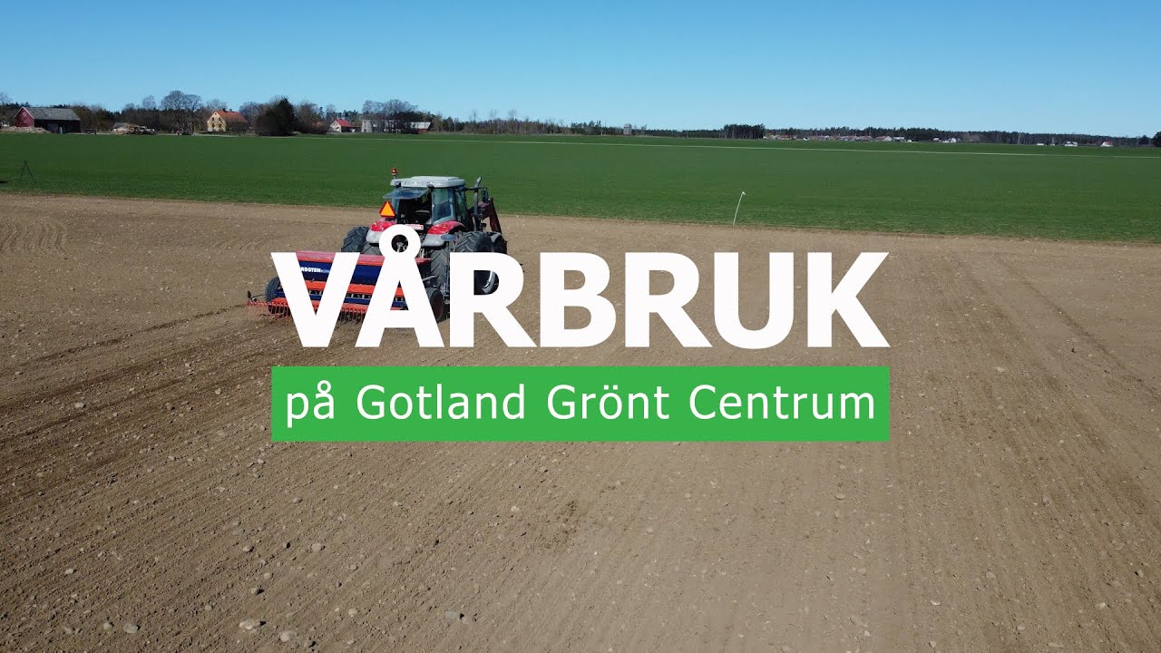 Vårbruk – På Gotland Grönt Centrum
