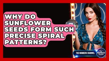 Why Do Sunflower Seeds Form Such Precise Spiral Patterns? - The Numbers Channel