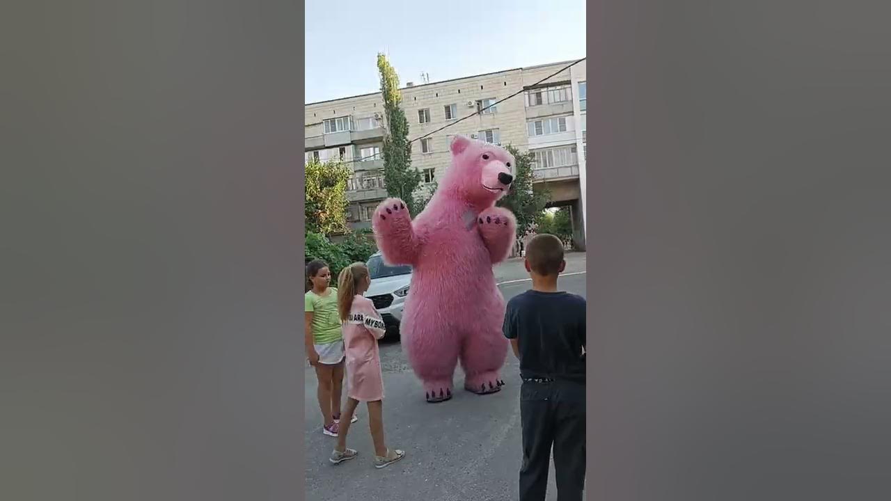 Розовый медведь спешит порадовать виновницу торжества! Поздравление от ...