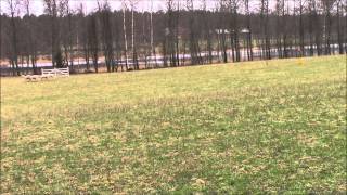 Spky, Perusrata, Haku