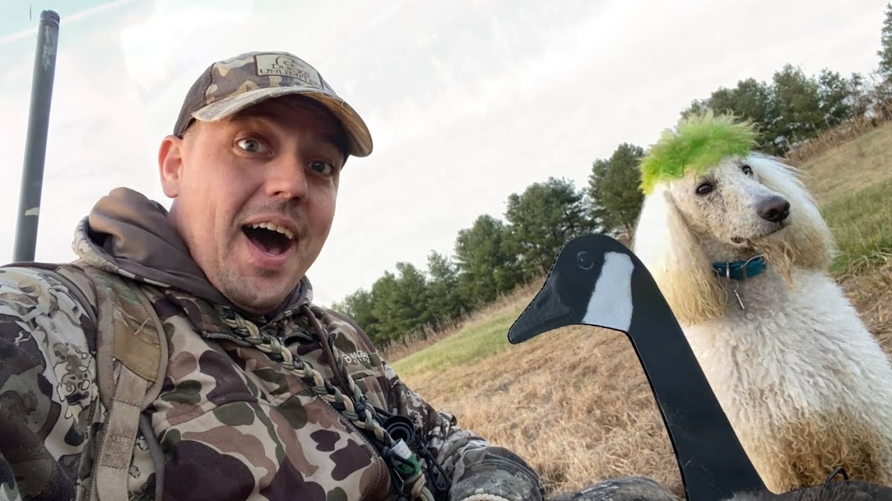 We Found Geese Kentucky Waterfowl Season 2324 YouTube