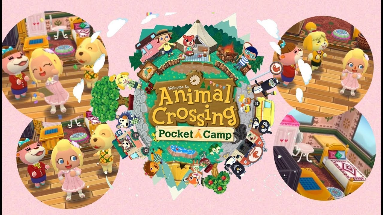 Happy Homeroom! Animal Crossing Pocket Camp YouTube