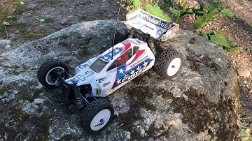 Team associated b44 factory team buggy//team emu etc reviews