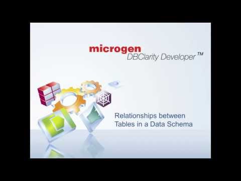 Viewing the Data Schema in Microgen DBClarity Developer