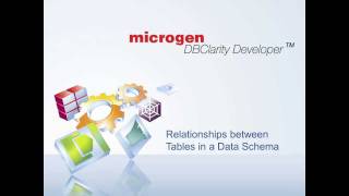 Viewing the Data Schema in Microgen DBClarity Developer