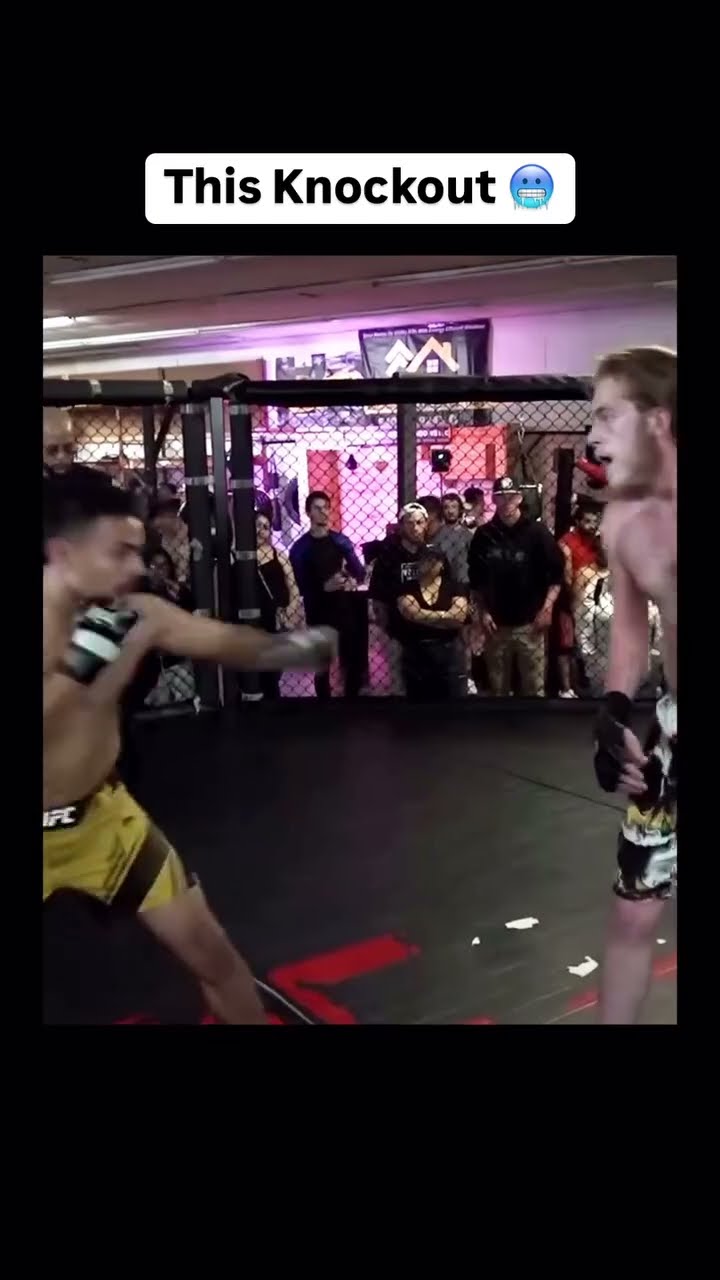Knocked out cold ? #kickboxing #knockout #combatsports