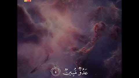 القارئ ^^  #عمر_الدريويز
