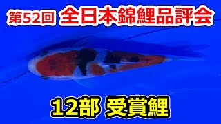 【12部受賞鯉】第52回 全日本錦鯉品評会2021