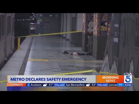 Los Angeles Metro official says she's 'afraid ... will not ride'