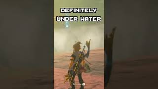 Swimming.exe Has Stopped Working