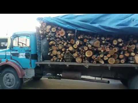 Caminhão carregado de madeira irregular é apreendido em Caxias