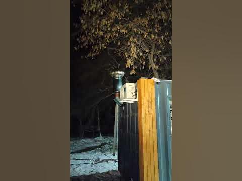 05.11.2023 Вечер возле кинотеатра Факел Комсомольск-на-Амуре (3) - YouTube