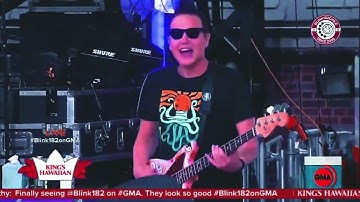 blink-182 - Blame It On My Youth / Subtitulado