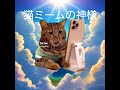 猫ミーム神様のおシュールなお告げ「弐の神様（歌う猫神様）」#short #shorts #猫ミーム #funny #lgbt