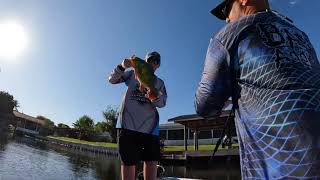 Peacock Bass South Florida Fishing with Hunter & Andrew  fish ends up in bait bucket  Fish slap