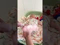 爸爸做饭日常vlog家庭家庭日常vlog支持快乐爸爸宝宝生活做饭  001