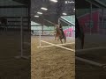 More Ruby! #viral #horse #equestrianjourney #edit  #equestrian #pony #horselove #horseriding