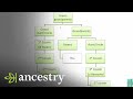 What is a First Cousin Once Removed? | Ancestry
