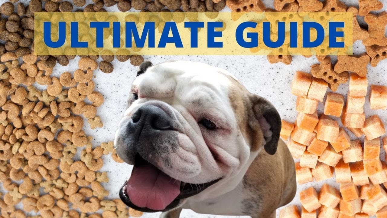 what can english bulldogs eat