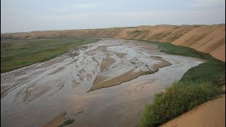 中国实施超大工程，将黄河水引到沙漠中，结果发生了神奇反应！