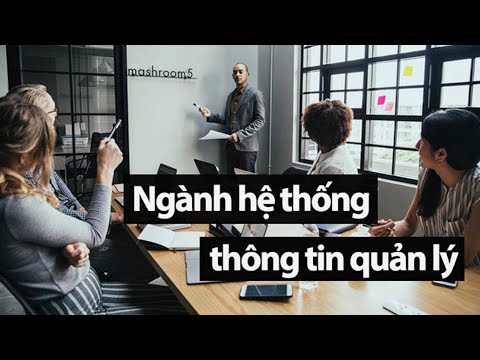 Video Ngành Hệ thống thông tin quản lý - Thú vị, Bất ngờ - youtube
