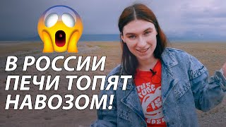 КИЗЯК? Серьёзно? В России топят печи НАВОЗОМ! Чуйская степь