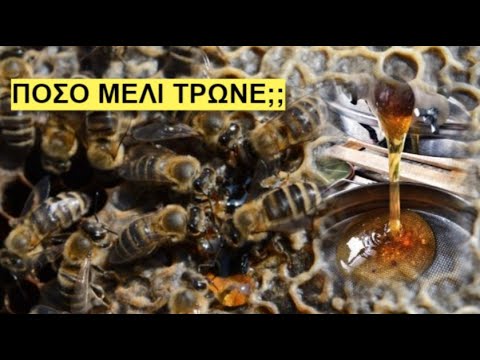 Βίντεο: Πώς να ταΐσετε τις μέλισσες το χειμώνα και τι