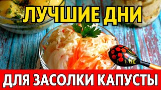 В ЯНВАРЕ 2024. Когда солить капусту, чтобы была очень вкусной? Лучшие даты по лунному календарю!