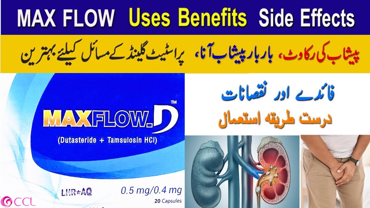 Maxflow-D capsules for enlarged prostate problem, urinary problem solved | Best for urine problems