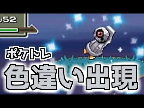 ポケトレ 色違いダンバルをマスボで捕まえる男 ポケモンpt Youtube