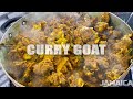 SPICY JAMAICAN FOOD - CURRY GOAT • STEW CHICKEN • CORN PORK • MANNISH WATA with NUFF PEPPER!