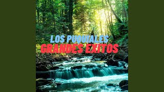 Video thumbnail of "Los Puquiales - Sueños del Alma"