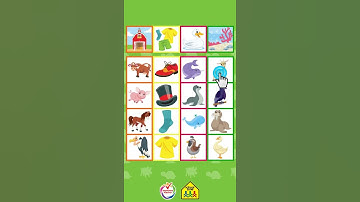 Sort it Out: Categories on Anywhere Teacher #short #sorting #kids #earlyeducation #homeschool