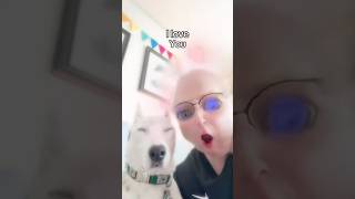 I love you…tube ❤️ #funny #dogs #wtf #cringe #dpggy