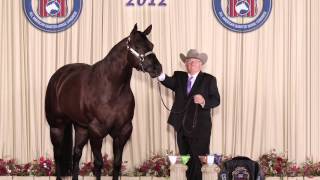 **SOLD** FEARED.                                WORLD CHAMPION.          CONGRESS CHAMPION.