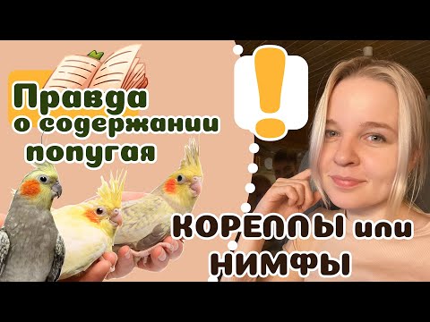 Видео: Как помочь Betta Fish дольше жить (с иллюстрациями)