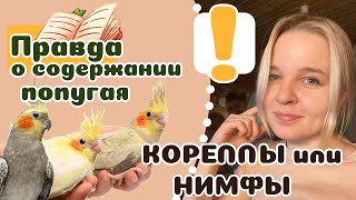 20 вещей которые надо знать о КОРЕЛЛАХ, прежде чем завести.