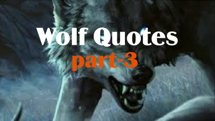 Image result for wolf therians  Wolf quotes, Inspirational quotes