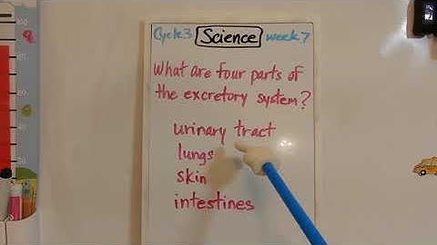CC Cycle 3 Week 7 Science